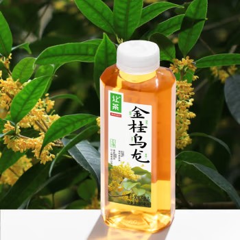 让茶侯明昊同款特供无糖金桂乌龙茶饮料0糖0脂解渴解腻500ml*1瓶装
